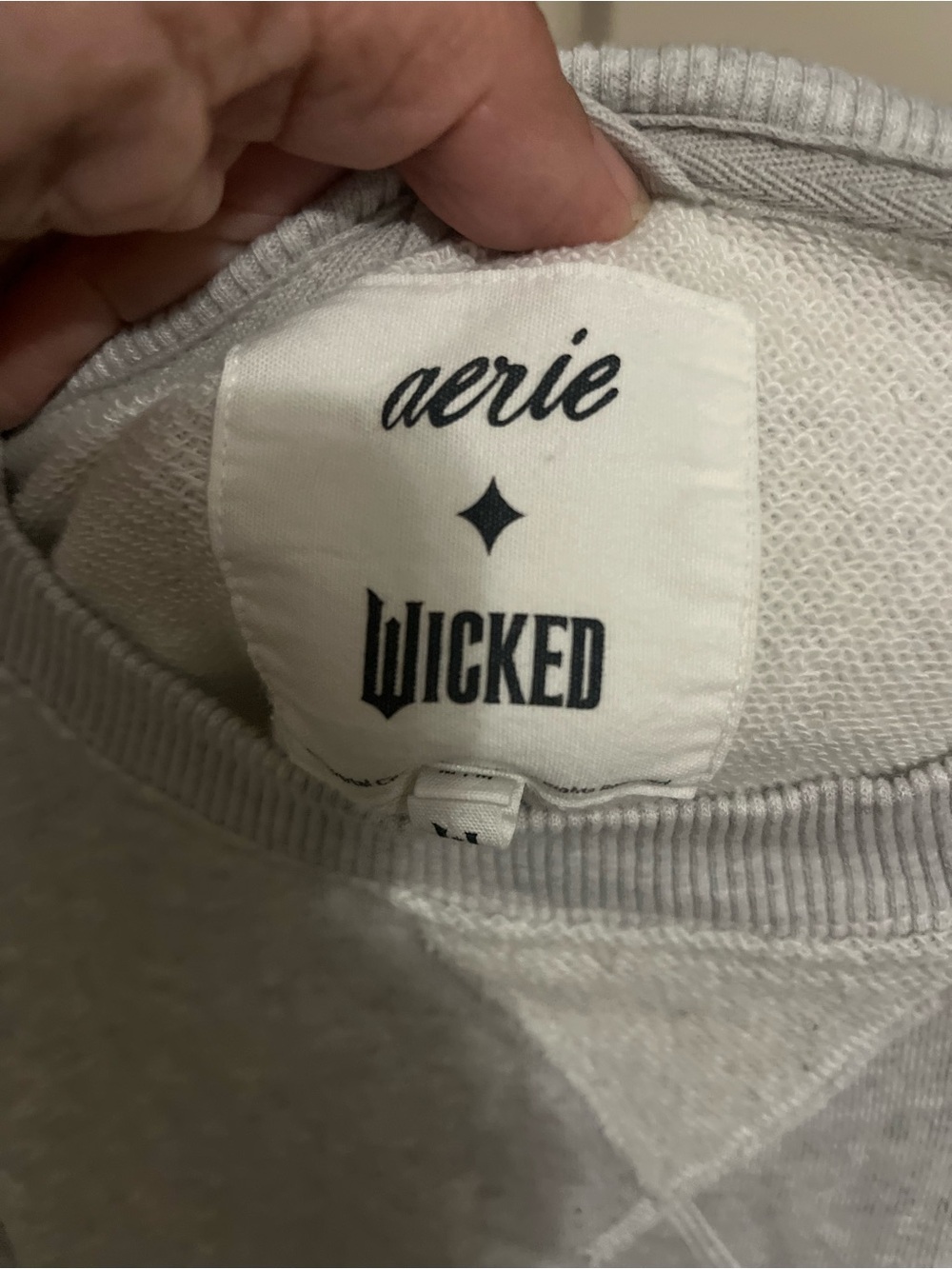 Aerie Wicked Logo Light Gray Crewneck Sweatshirt - Picture 2 of 3
